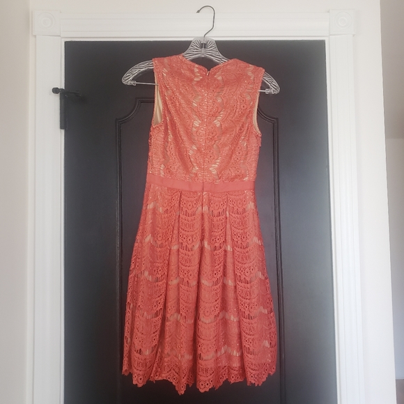 Francesca's Dress - Picture 2 of 3